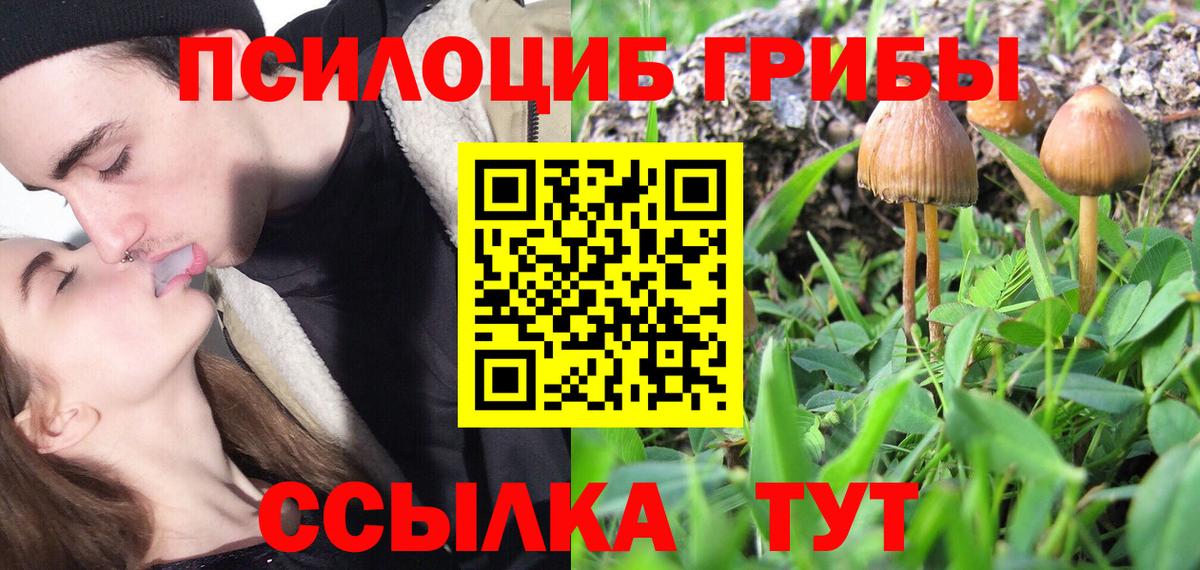 Галлюциногенные грибы Magic Shrooms  Вход с VPN  Клинцы 
